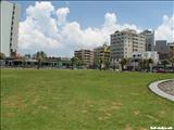 Plaza Ventana del Mar - SAN JUAN
